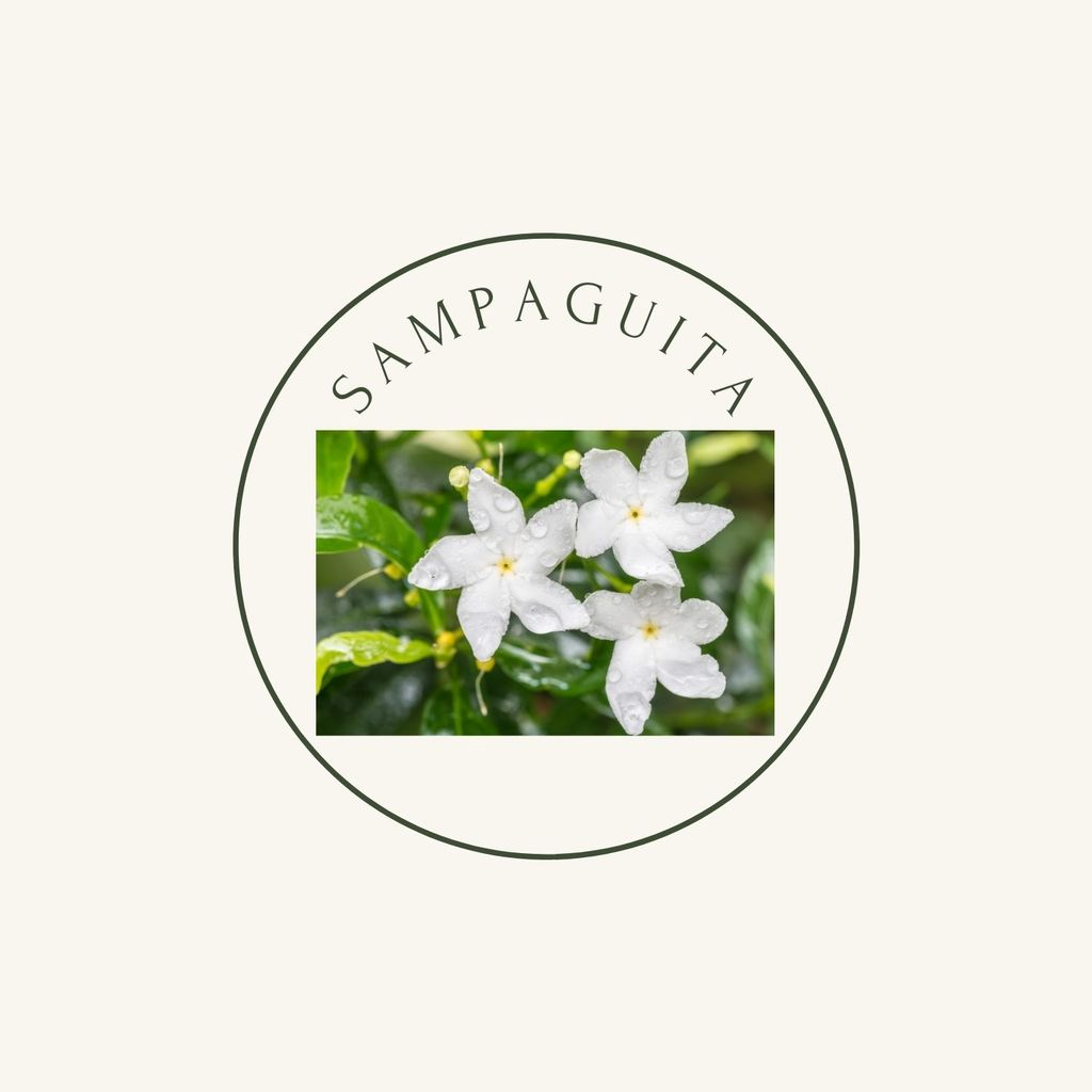 sampaguita white flower with green leaves with beige background