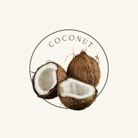 coconut fruits with beige background