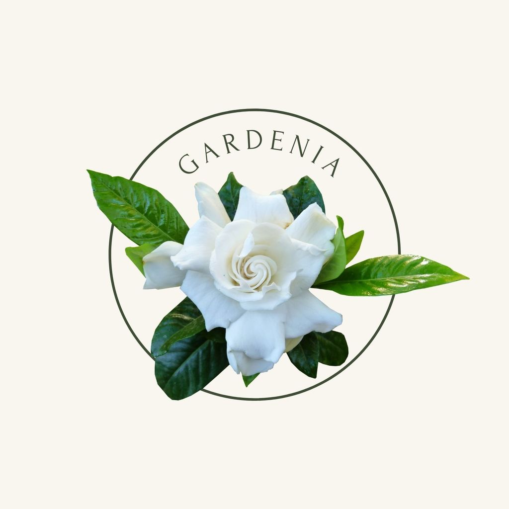 Gardenia